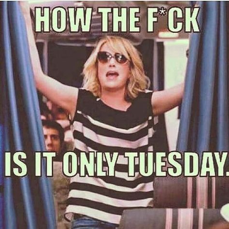 Longest week ever! #happytuesday Humour, Funny Friday, Tuesday Quotes Funny, Tuesday Meme, Friday Memes, Its Only Tuesday, Friday Meme, Detox Kur, Funny Friday Memes