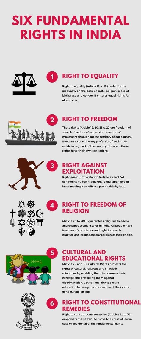 Interesting Facts about Indian Constitution Fundamental Rights In India, Ias Notes, Basic Human Rights, Constitution Of India, Upsc Notes, About Study, Ias Study Material, Fundamental Rights, Law Notes