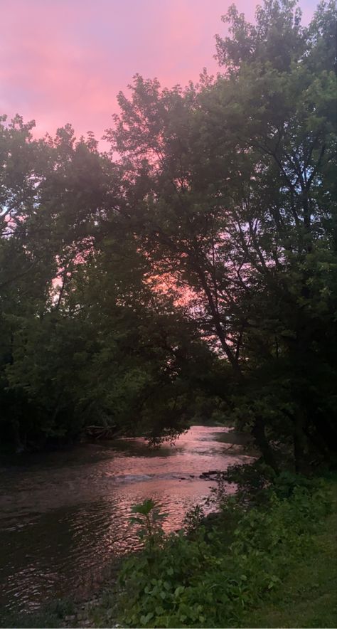 Nature, Sunset River Aesthetic, Sunset In The Forest Aesthetic, Sunset In Forest Aesthetic, Calm River Aesthetic, River In Forest Aesthetic, River Core Aesthetic, Water Core Aesthetics, Summer Aesthetic Forest