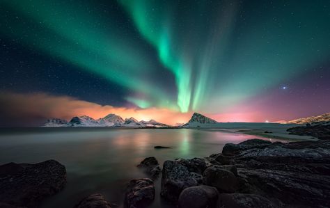 Lofoten Aurora Special Aurora Borealis Wallpaper, Northern Lights Wall Art, Northern Lights Wallpaper, Northen Lights, Wallpaper Computer, Aurora Borealis Northern Lights, Polar Light, Night Sky Wallpaper, Mac Wallpaper