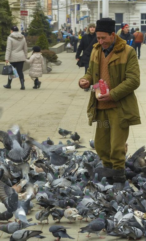 Old man feeding pigeons. Unidentified old man, feeding pigeons on the street, on , #Ad, #Unidentified, #street, #pigeons, #man, #feeding #ad Pigeon, Pigeon Feed, Feeding Pigeons, Bird Feeding, Old Men, Old Man, Bird Feeders, Vector Design, Romania