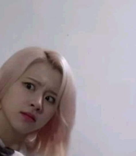 Confused Meme, Twice Fanart, Meme Kpop, Blackpink Memes, Kpop Gifs, Girl Memes, Baby Tiger, Instyle Magazine, Funny Kpop Memes