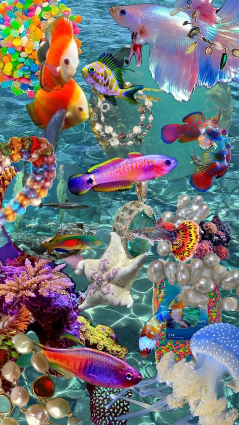 #ocean #fish #aquarium #colorful Pretty Fish Ocean, Pretty Fish, Ocean Fish, Fish Aquarium, Fish Wallpaper, Ocean Fishing, Cute Fish, Colorful Fish, Underwater World