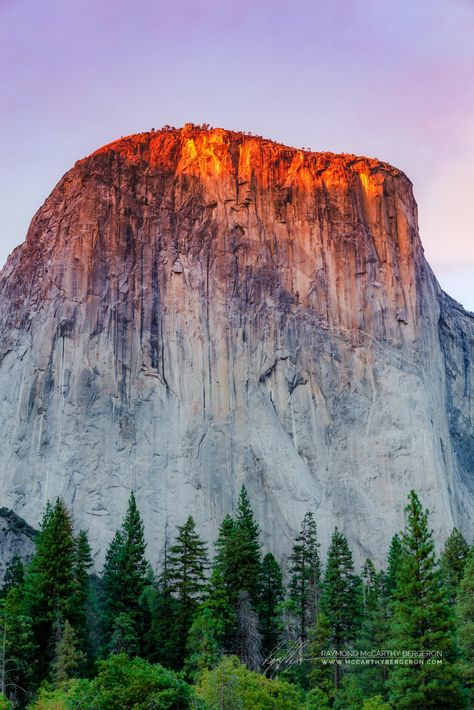Yosemite National Park, Yosemite Art, Yosemite Park, National Parks Photography, Mirror Lake, Yosemite Valley, Yosemite National, Mountain Landscape, Landscape Photographers