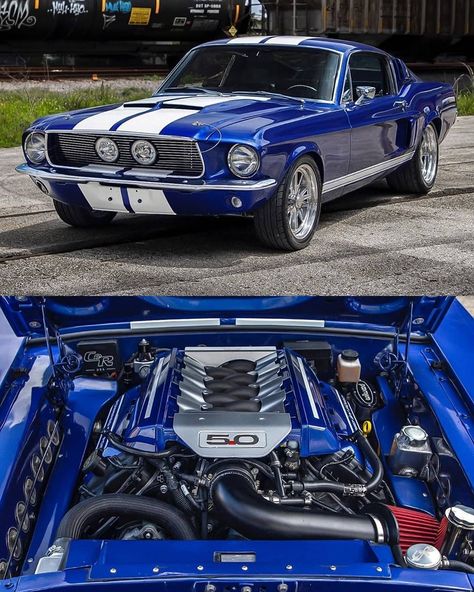 1967 Ford Mustang Fastback Restomod  Photo @exoticcartrader Via @mustangsfamily ... #Classic #classics #Classiccar #classiccars… 67 Mustang Fastback, 1967 Ford Mustang Fastback, 67 Ford Mustang, Muscle Cars Mustang, 1967 Ford Mustang, 1967 Mustang, Old Muscle Cars, Ford Mustang Car, Ford Mustang Shelby Gt500