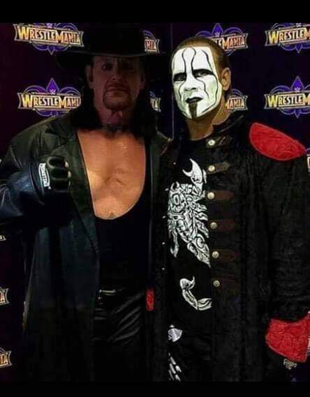 Taker and Sting Wwe Sting, Steve Borden, Sting Wcw, Kane Wwe, Wrestlemania 29, Undertaker Wwe, Tna Impact, The Undertaker, Wwe Legends