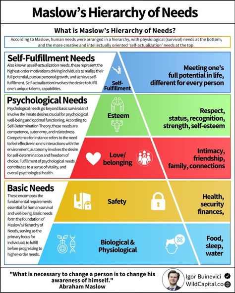 Digital Transformation Business, Maslow’s Hierarchy Of Needs, Personal Development Activities, Hierarchy Of Needs, Psychology 101, Maslow's Hierarchy Of Needs, Team Motivation, Business Infographics, Learning Support