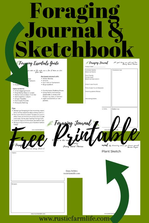 What every hiker, plant geek, or hobby botanist needs is a journal and sketchbook, preferably one that will gather all of your information, plant drawings, and leave space for all of your extra notes. This FREE download will do just that and then some! Collect all of your drawings, info, plus recipes, and more in this foraging journal and sketchbook. Instant Download #foraging #printable Herbal Journal Printable, Foraging Journal Ideas, Herbalist Journal Ideas, Foraging Notebook, Herbal Notebook, Herbarium Journal, Plant Journal Template, Foraging Journal, Mushroom Project