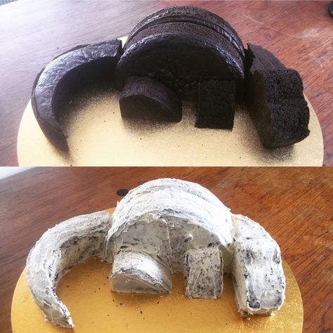 How To Dinosaur Cake, Easy T Rex Cake, Stegasorus Dinosaur Cake, Dinousar Cake Ideas, Dinosaur Head Cake, How To Make A Dinosaur Cake, 4 Dinosaur Cake, Dinosaur Bday Cake, Brachiosaurus Cake