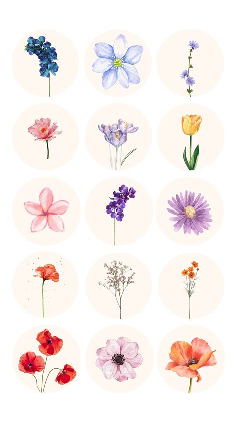 50 Instagram Flower Bouquet Highlight Covers | Botanical Highlight Covers, Boho Instagram Highlight Insta Highlight Cover Flower, Flowers Highlight Instagram, Flower Highlight Covers Instagram, Pinterest Highlight Covers, Instagram Highlight Icons Flower, Flowers Instagram Highlight Covers, Flower Highlight Covers, Beauty Highlight Cover, Flower Instagram Highlight Covers