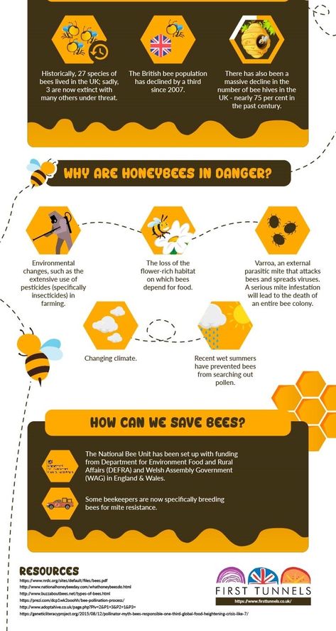 Bee Identification, Honey For Sore Throat, Honey Facts, Honey Bee Facts, School Advertising, For Sore Throat, Bee Facts, Honey Logo, Beekeeping For Beginners