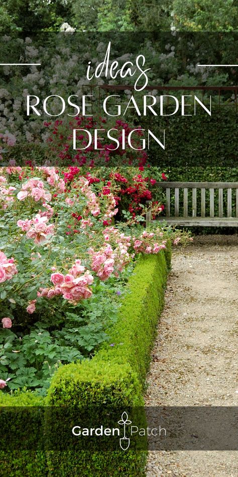 Landscape Roses Front Yards, Modern Rose Garden Design, Creating A Rose Garden, Landscaping With Roses Front Yard, Rose And Boxwood Garden, Roses And Lavender Garden Front Yards, Planting A Rose Garden, Roses And Boxwood Front Yards, Rose Garden Plans Layout