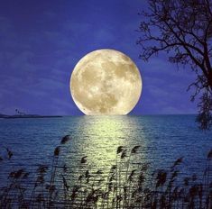 Nature, Beautiful Moon Images, Beautiful Moon Pictures, Dream Moon, Full Moon Rising, Moon Images, Shoot The Moon, Moon Rising, Moon Pictures