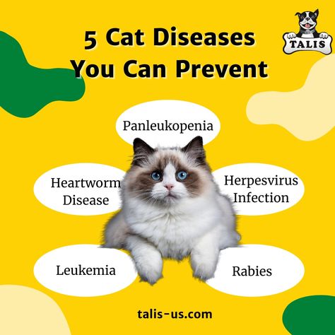 Help Cat, Cat Diseases, Heartworm Prevention, Sick Cat, Tick Prevention, Cat Help, Flea And Tick, Service Animal, Cat Owners