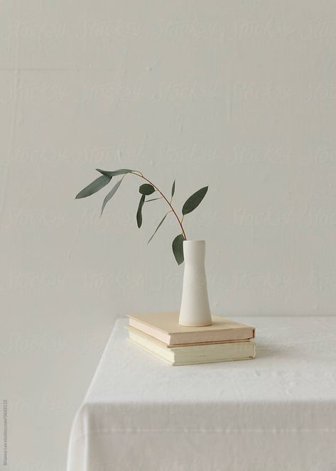 Minimal still life scene of 2 books on a table with white vase and foraged stems. Minimal Plant Wallpaper, White Books Aesthetic, White Minimalistic Aesthetic, White Iphone Aesthetic, Minimalist White Aesthetic, Minimal White Aesthetic, White Minimal Aesthetic, White Minimal Wallpaper, Plant On Table