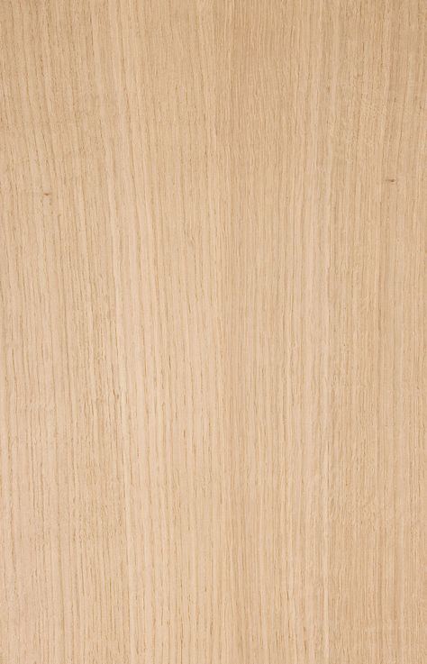 Natural Evergreen Veneers : : Red Oak Drawing Unicorn, Architecture Texture, Laminate Texture, Oak Wood Texture, Texture Architecture, Veneer Texture, Texture Wood, Red Oak Wood, Material Texture