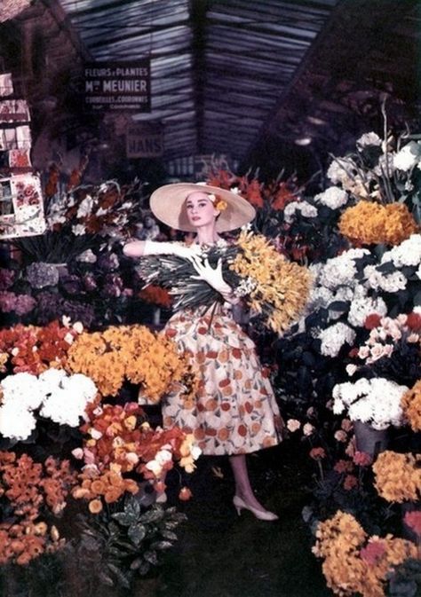 Audrey Hepburn in floral dress surrounded by flowers... Christmas, Funny, Audrey Hepburn, Home Décor, Funny Face, Christmas Tree, Holiday Decor, Home Decor