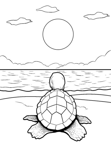 Cute Turtles Drawing, Coloring Papers Printable, Adults Coloring Pages, Color Pages Aesthetic, Free Ocean Coloring Pages, Colouring In Pages Aesthetic, Colouring Pages For Kids Printables, Colouring Pages Animals, Free Printable Coloring Pages For Adults Colouring Sheets