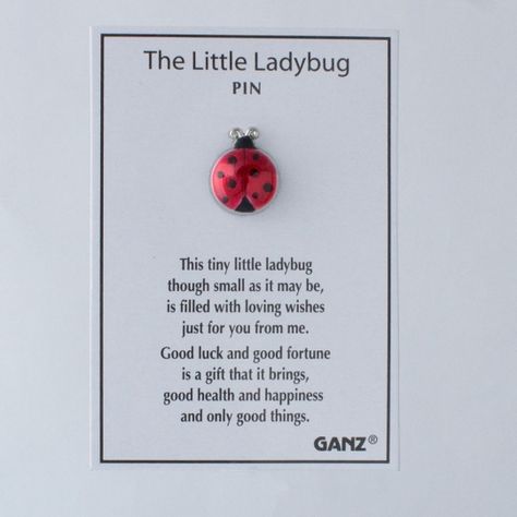 Amigurumi Patterns, Ladybug Gift Ideas, Ladybug Meaning, Ladybug Quotes, Ladybug Jewelry, Marinette Ladybug, Colored Trim, Lady Beetle, Ladybug Crafts