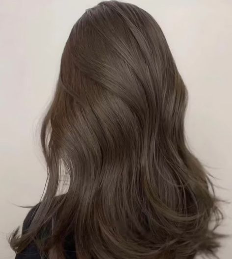 Balayage, Ash Brown Full Hair Color, Ash Mocha Brown Hair, Ash Brown On Dark Skin, Med Ash Brown Hair, Milktea Ash Color Without Bleach, Cool Toned Ash Brown Hair, Honey Ash Brown Hair, Chocolate Greige Hair