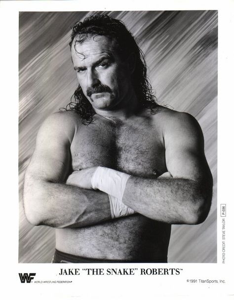 legend Professional Wrestling, Jake The Snake Roberts, Andre The Giant, Ultimate Warrior, Wwe World, Wrestling Superstars, Cyndi Lauper, Photo P, Classic Card
