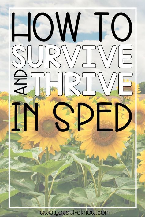 Teaching SPED can be a tough job. Running a classroom, paperwork, IEP Goals. There's just so much to do as a Special Education Teacher! I teamed up with 25 amazing SPED bloggers to share 25 Ways to Survive and Thrive in SPED. Special Ed Teacher Aesthetic, Special Education Organization, Sped Classroom, Life Skills Classroom, Education Art, Special Education Activities, Special Ed Teacher, Co Teaching, Special Education Elementary