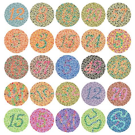 Colour Blind Test, Colorblind Test, Color Blind Test, Color Vision Deficiency, Colour Blind, Blind Test, Eye Facts, Military Color, Color Vision