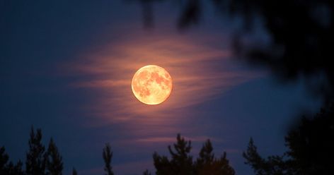Nature, September Full Moon, Full Moon Images, Sun Pictures, Corn Moon, Next Full Moon, Moon In Leo, Moon Images, Moon Eclipse