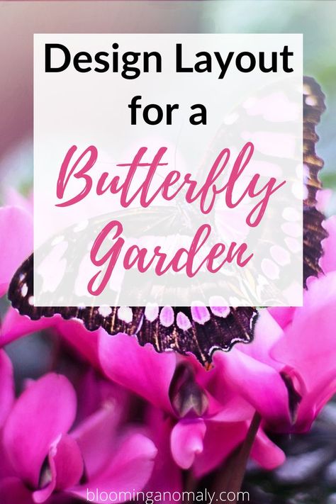 Hummingbird Garden Plan, Butterfly Garden Layout, Flower Aesthetic White, Wedding Flower White, Flower Arrangements White, Aesthetic White Flowers, White Flower Aesthetic, Pollinator Habitat, Bee Garden Design