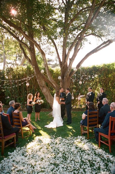 Wedding Ceremony Ideas, Small Outdoor Wedding, Romantic Backyard, Backyard Wedding Decorations, Backyard Wedding Ceremony, Small Backyard Wedding, Wedding Isles, Yard Wedding, Weddings By Color