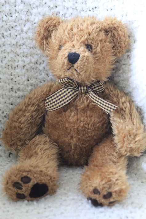 This shaggy brown Teddy Bear with his  gingham bow tie is made by Russ Berrie & Co. "Wembly" is approximately 13" tall Vintage Teddy Bears Aesthetic, Teddy Bears Aesthetic, Old Teddy Bears, Teddy Bear Pictures, Brown Teddy Bear, Bear Tattoo, Toy Maker, The Princess And The Frog, Teddy Bear Stuffed Animal