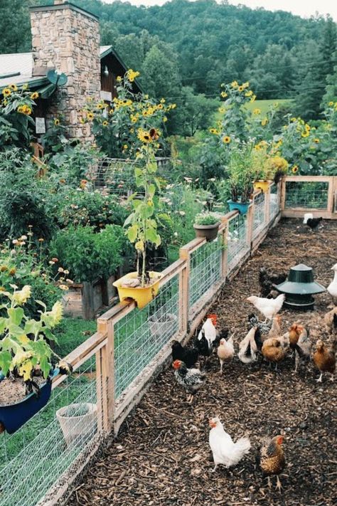 Build A Bug, English Country Home, Live Off The Grid, Homestead Gardening, Homestead Chickens, Homestead Farm, Farm Lifestyle, Future Farms, Cottage Farm