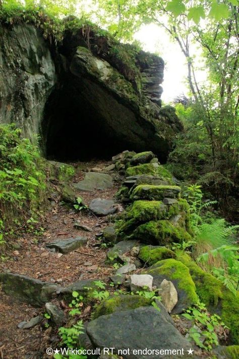 Step into the magickal cave if you dare #abandoned #abandonedspaces #building #rtitbot #robloxdev #art #rtArtBoost #RYUJIN #urbexphotography #grimelords #urbex Forest Cave, Faerie Aesthetic, Gnome Village, Supraviețuire Camping, Cave Entrance, Natural Homes, Fantasy Forest, Warrior Cat, Environment Concept