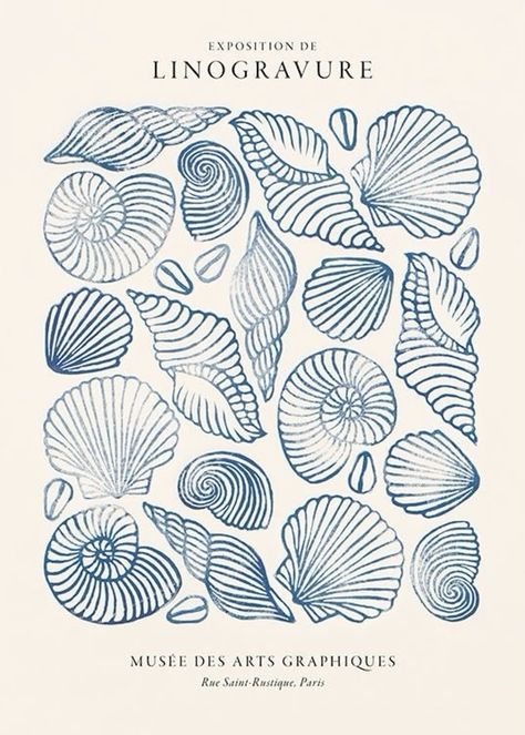 Shells, Blue Ink, Linocut, Blue Sea, A Book, Sea Shells, Blue, White