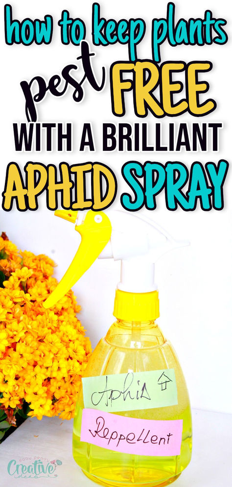 Homemade aphid spray Natural Aphid Spray, Aphid Spray Homemade, Aphid Spray, Get Rid Of Aphids, Diy Holiday Party, Plant Pests, Crafts To Make And Sell, Landscaping Tips, Diy Health