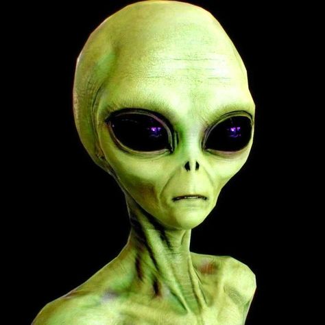 They are here. . They are here to get you. . We are not alone. Aliens Aesthetic, Realistic Alien, Alien Woman, Alien Pictures, Ancient Astronaut Theory, Ufos Are Real, Alien Photos, Alien Encounters, Ufo Art