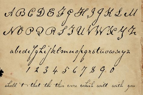 OldFonts.com | Schooner Script Showing Fancy Fonts Alphabet, Cursive Letters Fancy, Fancy Cursive Fonts, Cursive Fonts Alphabet, Fonts Handwriting Alphabet, Old Fonts, Script Alphabet, Schrift Design, Writing Fonts