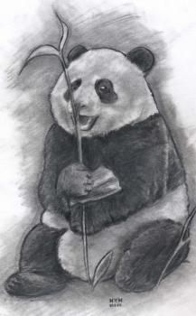 Pencil Drawing Tutorials, Step By Step Realistic Drawing, Panda Sketch, Cute Panda Drawing, Realistic Animal Drawings, Panda Drawing, Realistic Drawing, Bear Drawing, Panda Art