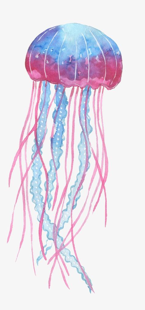 Jellyfish Png, Box Jellyfish, Jellyfish Illustration, Jellyfish Drawing, Pink Drawing, Pink Jellyfish, Sea Creatures Art, Jellyfish Painting, Blue Drawings