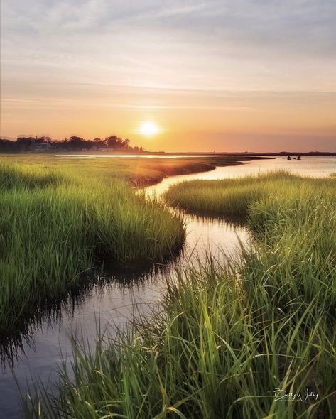 Exploring the marshes of Cape Cod! 🏆 Photo of the day by @bettywileyphoto🏆 Tag us or use #newenglandtraveljournal to share your photos #explorenewengland #mynewengland #ignewengland #travel #newengland #ontheroad #newenglandlife #newenglandliving #photooftheday Nature, Pastel, Marsh Landscape Photography, Marshes Landscape, Wetlands Photography, Landscape Photos Nature, Summer Landscape Photography, Marsh Pictures, Cape Cod Landscape