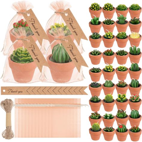 PRICES MAY VARY. Cactus Candle Combinations: the package comes with 36 pieces of succulent candles party favors, 36 pieces of organza bags, 36 pieces of mini terracotta clay candle holders, 36 pieces of thank you tags and 1 piece of 32.81 ft/ 10 meter twine, the nice combination can support your use needs Quality Long Lasting Candles: the succulent candle party favors for guests are mainly made of quality paraffin material, safe and reliable, not easy to fade, each candle burns steadily for 4-5 Succulent Candles, Plant Candle, Butterfly Baby Shower Decorations, Enchanted Forest Baby Shower, Succulent Candle, Luau Party Favors, Clay Candle Holders, Clay Gift Tags, Shower Plant