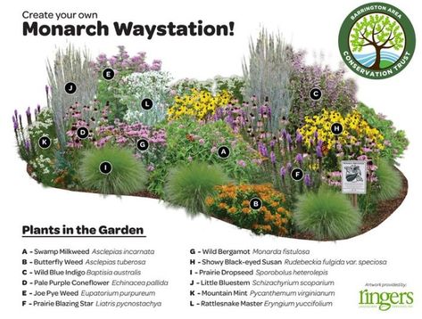 Garden Design Magazine on Instagram: “Create your own Monarch Waystation! 🦋 . Great layout from @ringerslandscaping. See more ideas for your garden in our regional gardening…” Funny Vine, Butterfly Garden Design, Jardim Diy, Hummingbird Garden, Garden Wallpaper, Pollinator Garden, Landscape Services, Have Inspiration, Native Garden