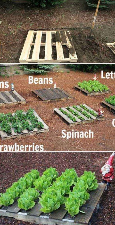 Garden Types, Vegetable Garden Design, Pallet Projects Garden, Diy Raised Garden, Raised Garden Beds Diy, Unique Garden, Pallets Garden, Garden Landscape Design, Veggie Garden