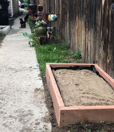 Simple Sandbox, Diy Sandbox, Cat Feeding Station, Cat Farm, Litter Box Enclosure, Kiddie Pool, Outdoor Cats, Good Neighbor, Feral Cats