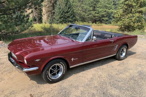 For Sale: 1966 Ford Mustang Convertible (Vintage Burgundy, 289ci V8, 4-speed) Old Convertible Cars Aesthetic, 1966 Cherry Red Mustang, 1969 Z28 Camaro, Old Retro Cars, Old Style Cars, 1966 Ford Mustang Convertible Cherry Red, Red Convertible Aesthetic, Old Convertible Cars, Cherry Red Mustang