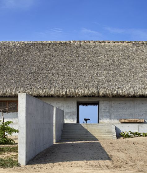 Image 14 of 43 from gallery of Wabi House / Tadao Ando Architect and Associates. Photograph by Edmund Sumner Tadao Ando, Residential Architecture, Japanese Architecture, Tadao Ando House, Tadao Ando Architecture, Casa Wabi, Japanese Architect, Thatched Roof, Modern Buildings