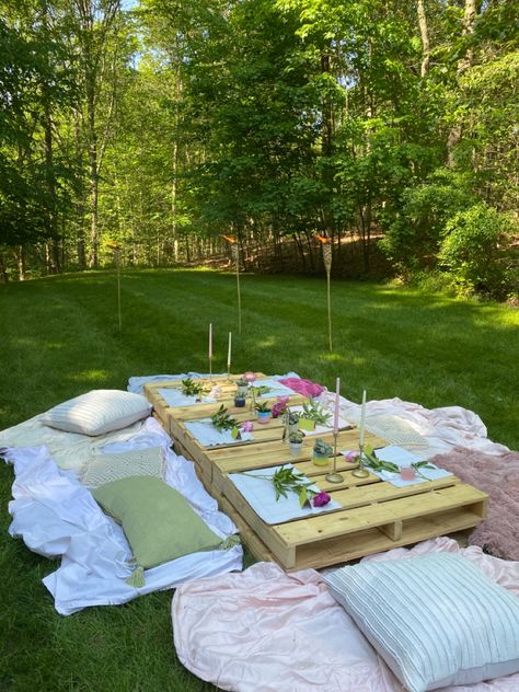 Cute Girls Picnic Ideas, Outdoor Picnic Bridal Shower Ideas, Outdoor Picnic Bachelorette Party, Aesthetic Picnic Birthday Ideas, Picnic With Table, Picnic Aesthetic With Table, Senior Picnic Ideas, Low Table Picnic, Bachelorette Party Ideas Picnic