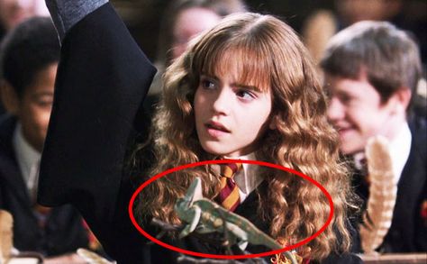 In The Chamber of Secrets, Hermione has a chameleon on her desk. This is foreshadowing when Polyjuice potion is used later in the film so that Harry, Ron, and Hermione can blend in with Slytherin students. Hp Facts, Tom Riddle And Hermione, Slytherin Students, Seven Horcruxes, Ron Y Hermione, Young Tom Riddle, Hp Movies, Deathly Hallows Part 2, Polyjuice Potion