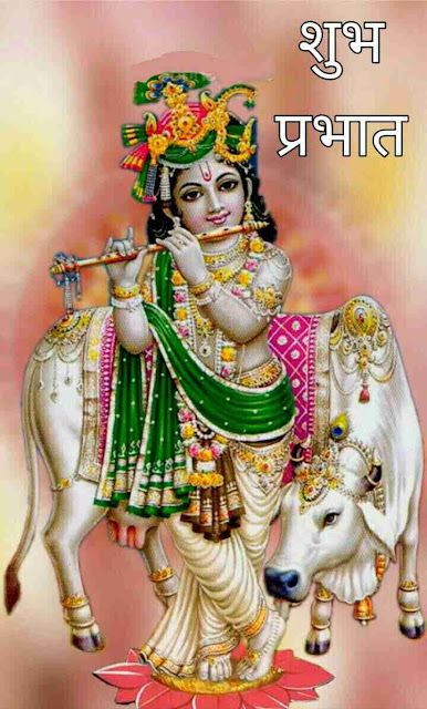 Sree Krishna Images, Sri Krishna Photos, Bal Krishna Photo, राधा कृष्ण वॉलपेपर, Good Morning Krishna, Krishna Hindu, Shree Krishna Wallpapers, Krishna Bhajan, Bal Krishna