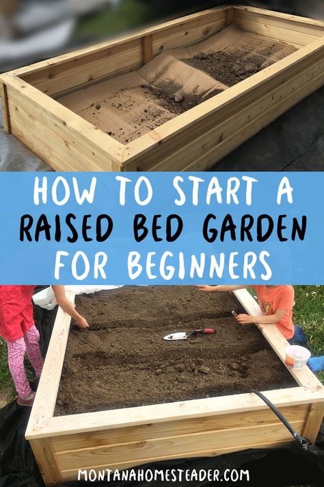 How to start a raised bed vegetable garden picture of raised garden bed with cardboard in bottom and soil being put on top and picture of children planting seeds in raised garden bed full of soil Raised Bed Filler Ideas, Box Garden Ideas Raised Beds, Landscaping Garden Ideas, Raised Bed Garden Layout, Raised Bed Vegetable Garden, Making Raised Garden Beds, Veggie Garden Layout, Raised Garden Beds Diy Vegetables, Garden For Beginners